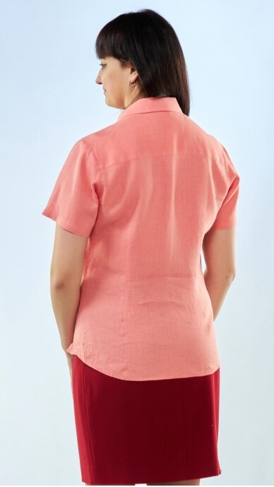 Blouse with short sleeves 1