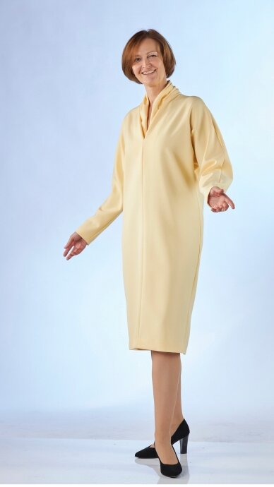 Long sleeve dress 3