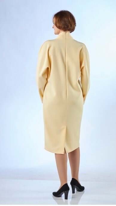 Long sleeve dress 4